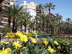 Paseo de Alicante.